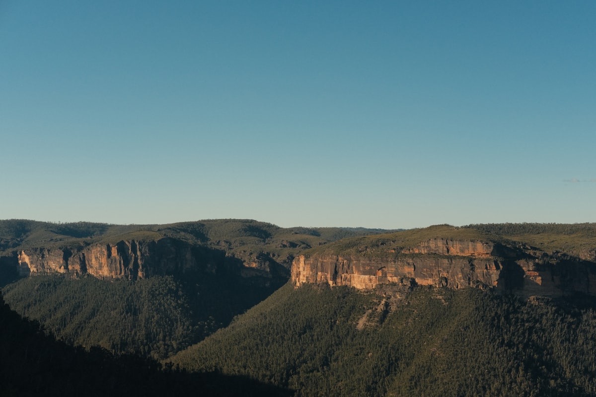 The Plateau: Why Your Income Stopped Growing
