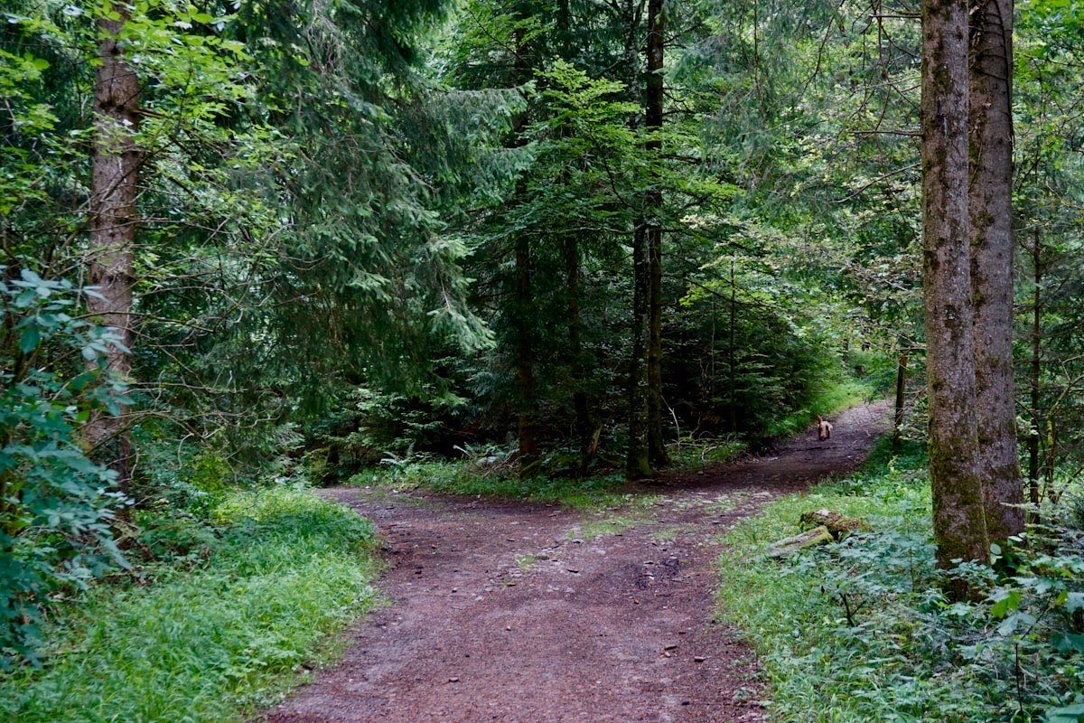 Leadership During Company Transitions
