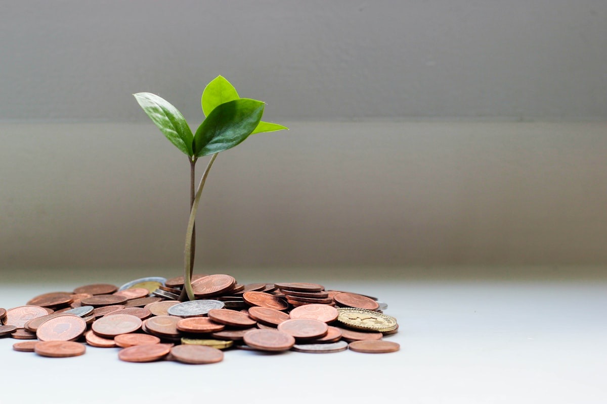 The Passive Income Myth